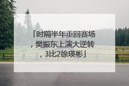 时隔半年重回赛场，樊振东上演大逆转，3比2徐瑛彬
