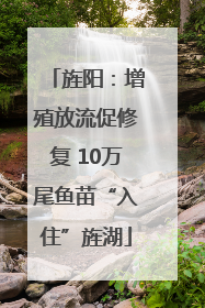 旌阳：增殖放流促修复 10万尾鱼苗“入住”旌湖