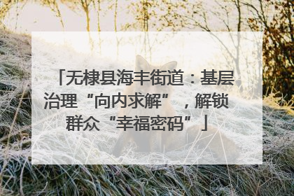 无棣县海丰街道：基层治理“向内求解”，解锁群众“幸福密码”