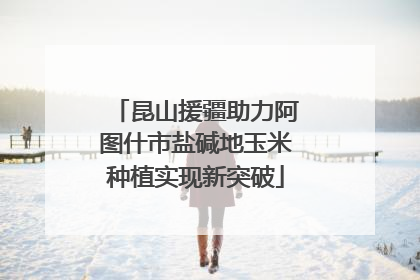 昆山援疆助力阿图什市盐碱地玉米种植实现新突破