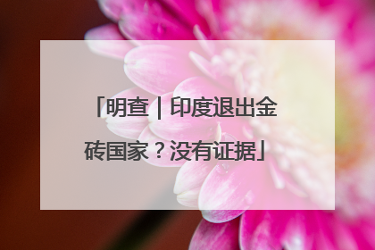 明查｜印度退出金砖国家？没有证据