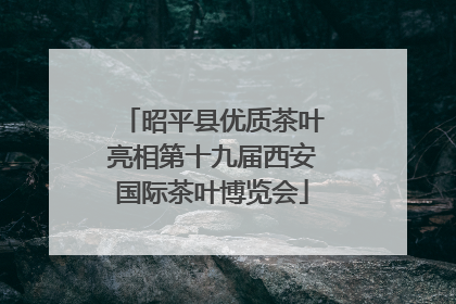 昭平县优质茶叶亮相第十九届西安国际茶叶博览会