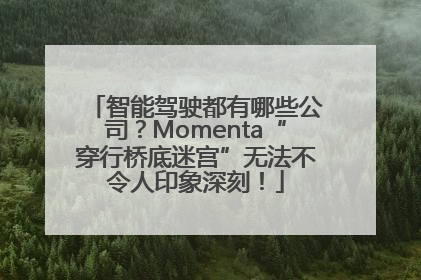 智能驾驶都有哪些公司？Momenta“穿行桥底迷宫”无法不令人印象深刻！