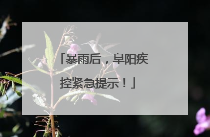 暴雨后，阜阳疾控紧急提示！