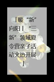 暖“新”向阳丨“三新”领域夏令营亲子活动火热开展