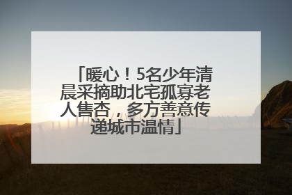 暖心！5名少年清晨采摘助北宅孤寡老人售杏，多方善意传递城市温情