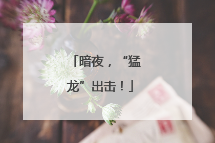 暗夜，“猛龙”出击！