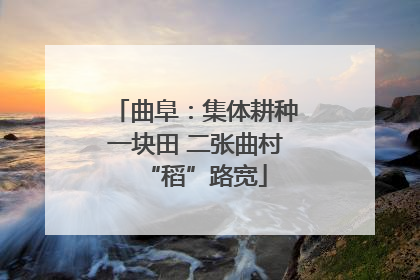 曲阜：集体耕种一块田 二张曲村“稻”路宽