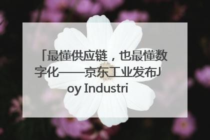 最懂供应链，也最懂数字化——京东工业发布Joy Industrial 重塑工业未来
