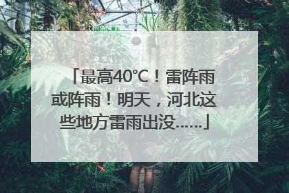 最高40℃！雷阵雨或阵雨！明天，河北这些地方雷雨出没……