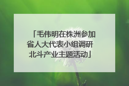 毛伟明在株洲参加省人大代表小组调研北斗产业主题活动