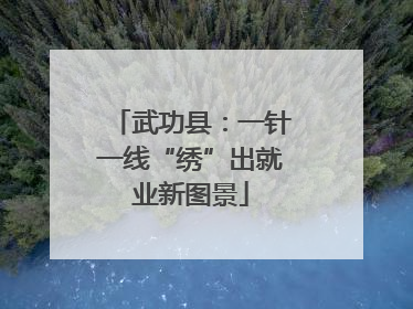 武功县：一针一线“绣”出就业新图景