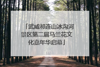 武威祁连山冰沟河景区第二届马兰花文化嘉年华启幕