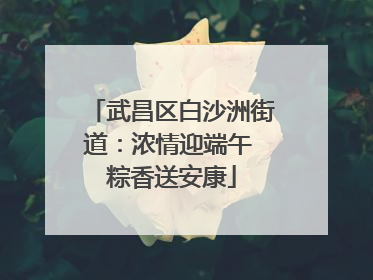 武昌区白沙洲街道：浓情迎端午 粽香送安康