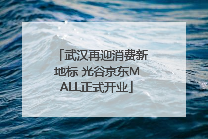 武汉再迎消费新地标 光谷京东MALL正式开业