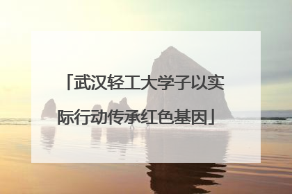 武汉轻工大学子以实际行动传承红色基因