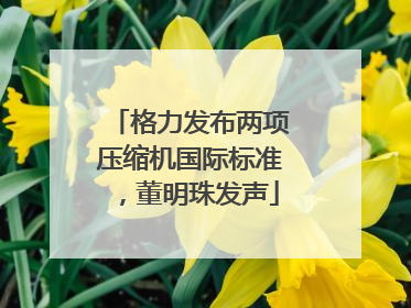 格力发布两项压缩机国际标准，董明珠发声