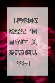 梧桐树保险经纪“桐星守护”关爱活动圆满举行