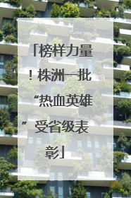 榜样力量！株洲一批“热血英雄”受省级表彰