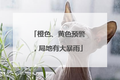 橙色、黄色预警，局地有大暴雨