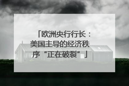 欧洲央行行长：美国主导的经济秩序“正在破裂”