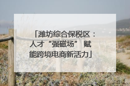 潍坊综合保税区：人才“强磁场” 赋能跨境电商新活力