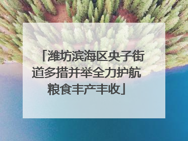 潍坊滨海区央子街道多措并举全力护航粮食丰产丰收
