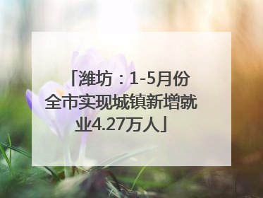 潍坊：1-5月份全市实现城镇新增就业4.27万人