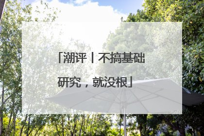 潮评丨不搞基础研究，就没根
