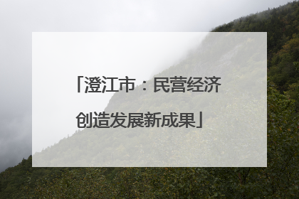 澄江市：民营经济创造发展新成果
