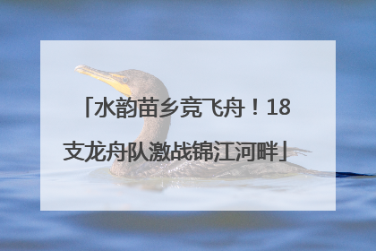 水韵苗乡竞飞舟！18支龙舟队激战锦江河畔
