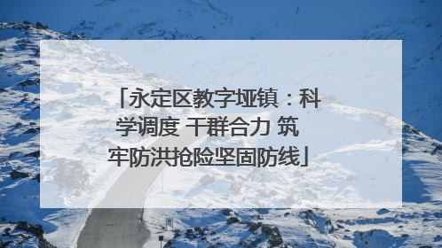 永定区教字垭镇：科学调度 干群合力 筑牢防洪抢险坚固防线