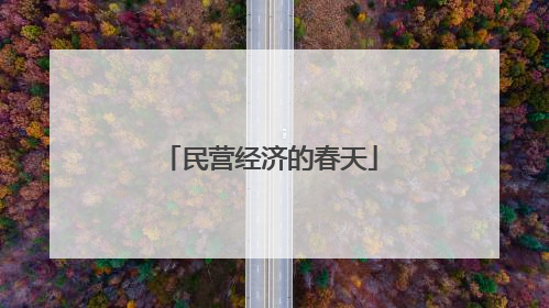 民营经济的春天