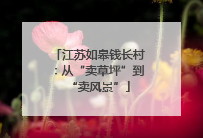 江苏如皋钱长村：从“卖草坪”到“卖风景”