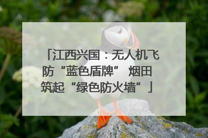 江西兴国：无人机飞防“蓝色盾牌” 烟田筑起“绿色防火墙”