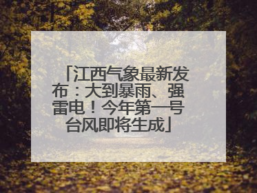 江西气象最新发布：大到暴雨、强雷电！今年第一号台风即将生成