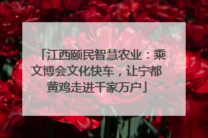 江西颐民智慧农业：乘文博会文化快车，让宁都黄鸡走进千家万户