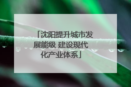 沈阳提升城市发展能级 建设现代化产业体系