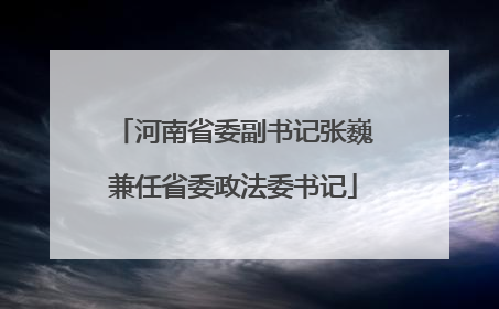 河南省委副书记张巍兼任省委政法委书记