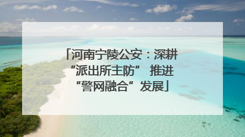 河南宁陵公安：深耕“派出所主防” 推进“警网融合”发展