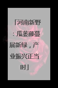 河南新野：瓜蒌藤蔓展新绿，产业振兴正当时
