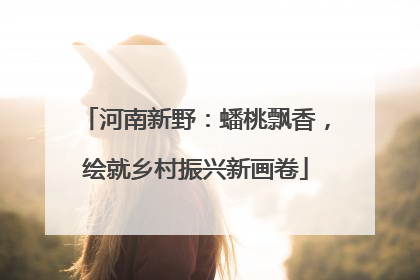 河南新野：蟠桃飘香，绘就乡村振兴新画卷