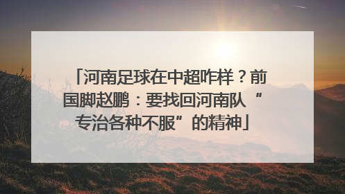 河南足球在中超咋样？前国脚赵鹏：要找回河南队“专治各种不服”的精神