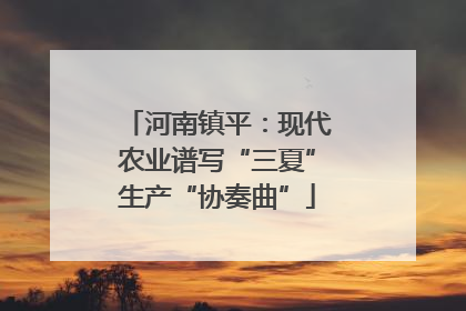 河南镇平：现代农业谱写“三夏”生产“协奏曲”