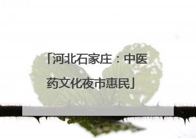 河北石家庄：中医药文化夜市惠民