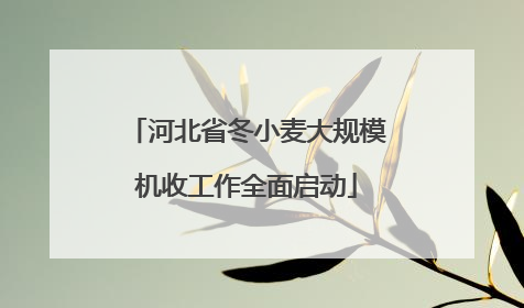 河北省冬小麦大规模机收工作全面启动