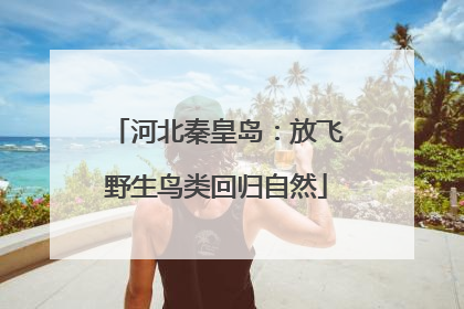 河北秦皇岛：放飞野生鸟类回归自然