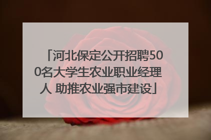 河北保定公开招聘500名大学生农业职业经理人 助推农业强市建设