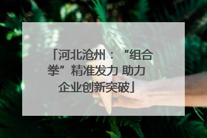 河北沧州：“组合拳”精准发力 助力企业创新突破