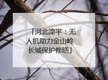 河北滦平：无人机助力金山岭长城保护修缮